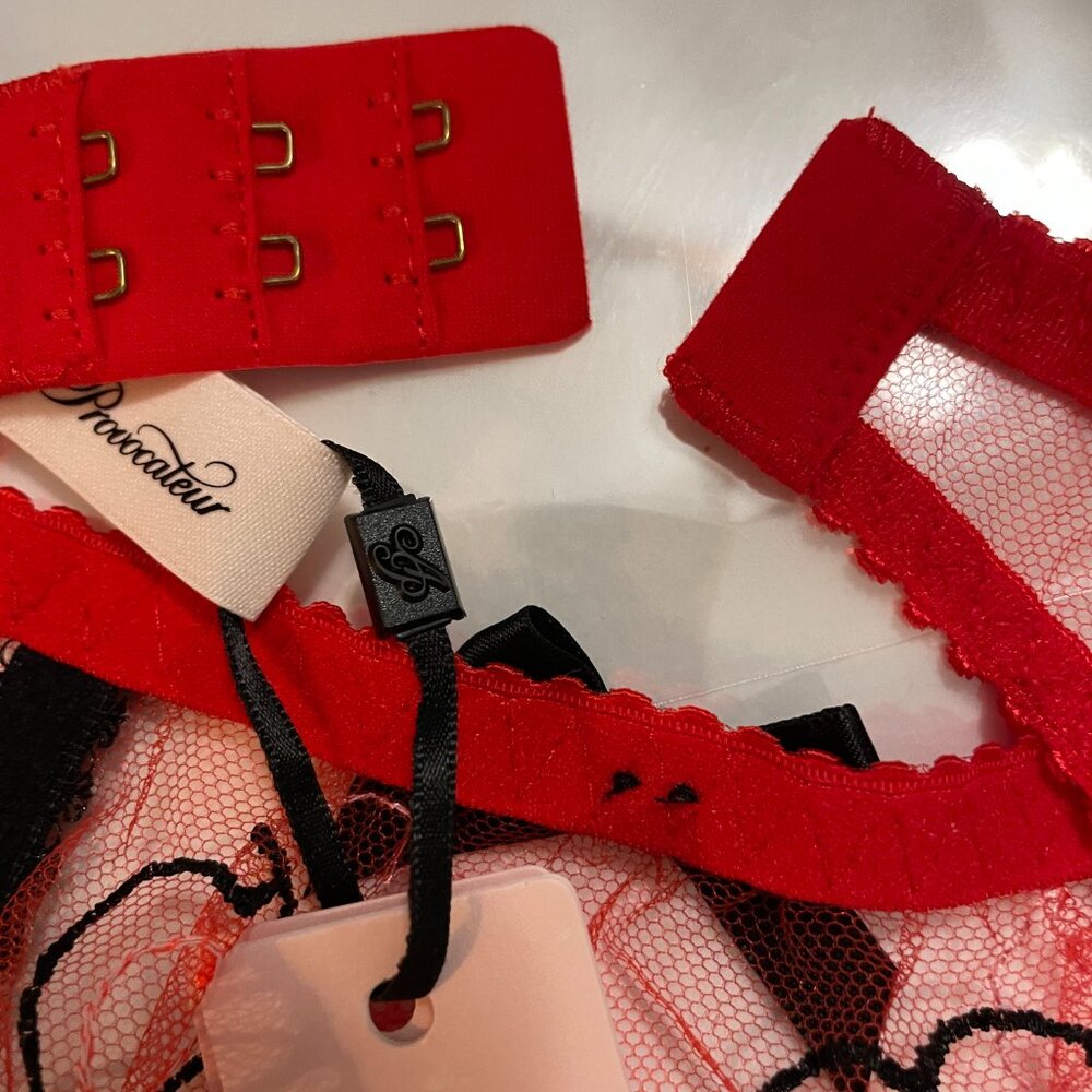 AGENT PROVOCATEUR Maysie Garter Suspender Belt in Red Heart Embroidered Tulle - Picture 10 of 10